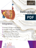 Perfil Cardiaco