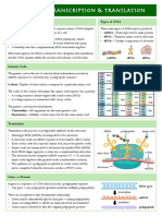 2.7 Transcription & Translation