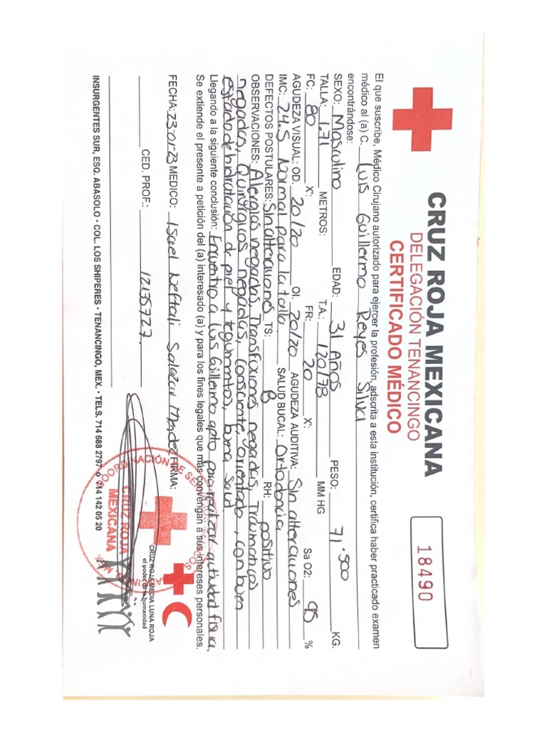 Cruz Roja Mexicana PDF