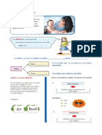 La sílaba y su calsificación