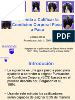 Aprenda a Calificar La Condicion Corporal