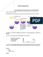 Enzymes Conclusion