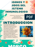 Dipositivas Inmunologia Organo y Tejidos Grupo T