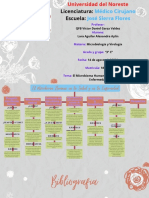 Tarea 1.2 Mapa Conceptual El Microbioma Humano en La Salud y en La Enfermedad