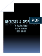 GP 3 - Necrosis & Apoptosis