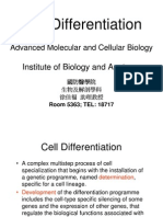 01 08 2007 MCB Cell Differentiation