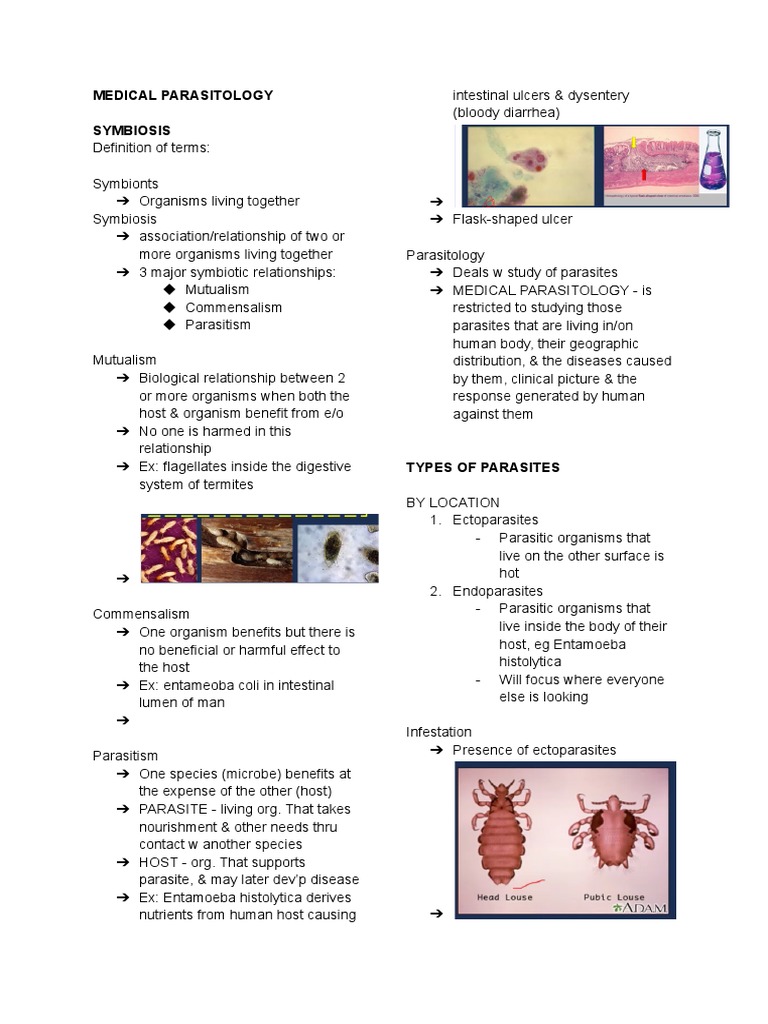 Medical Parasitology | PDF
