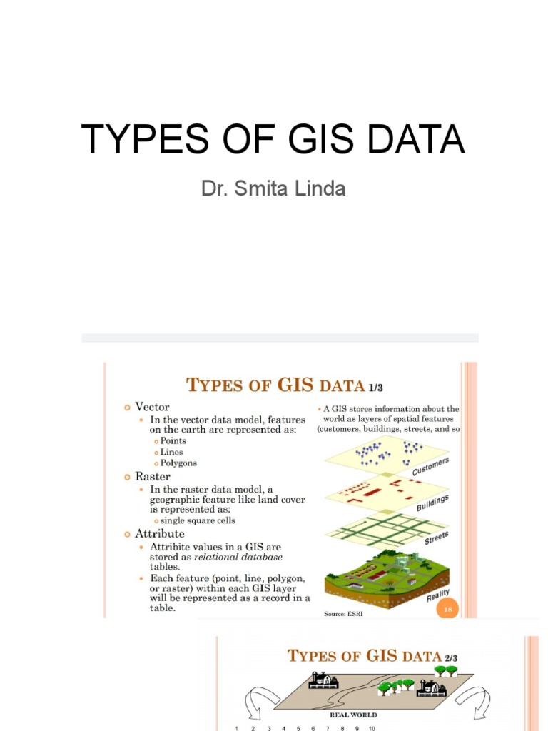 Types of Gis Data PDF