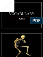 Vocabulary of Bones