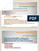 Fungus and Plants