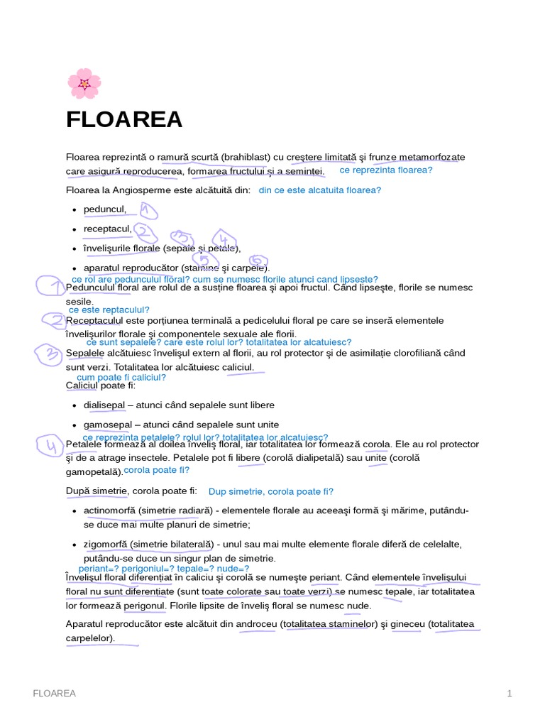 FLOAREA | PDF