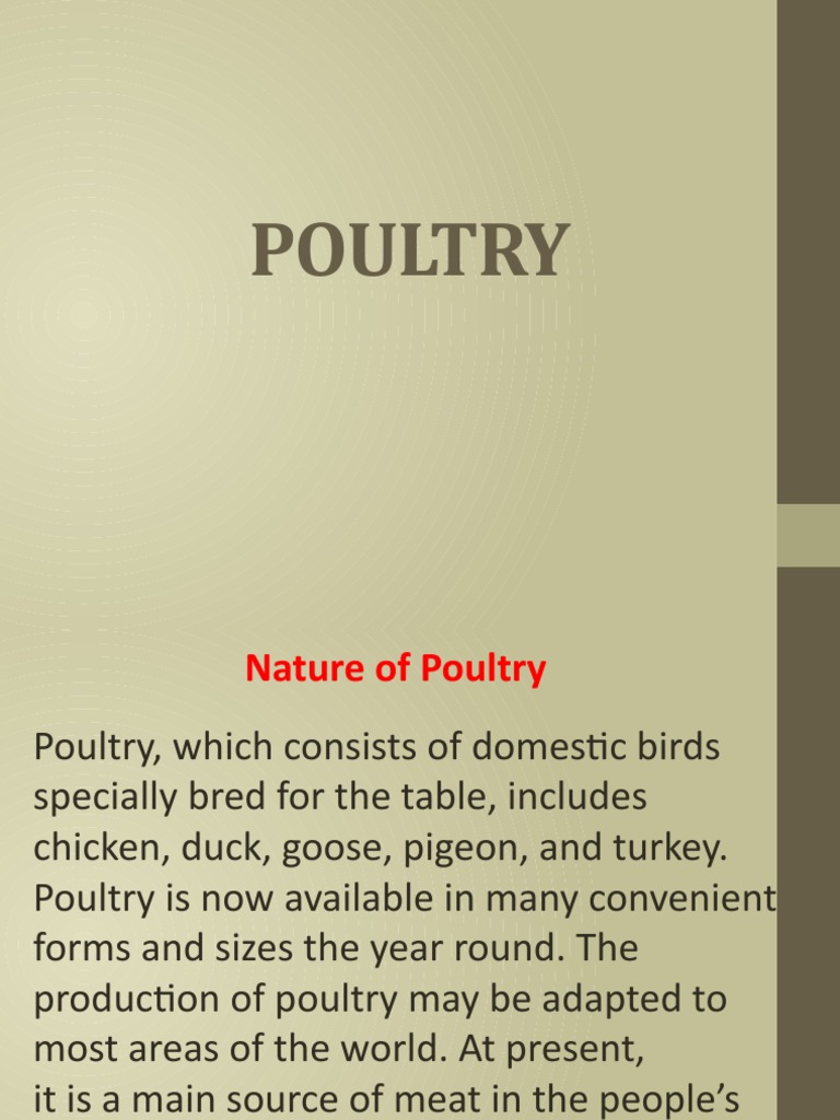 Poultry | PDF