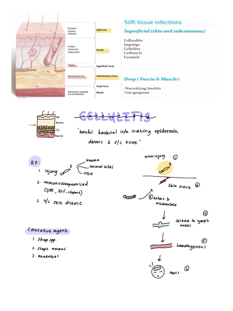 Soft Tissue Infection Study Group | PDF
