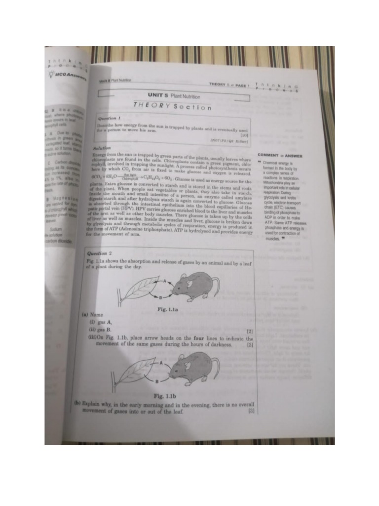PLANT NUTRITION IGCSE BIOLOGY PAST PAPERS visual data 6