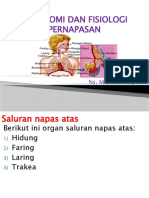 Anatomi Dan Fisiologi Sitem Pernapasan