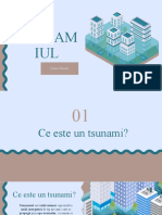 Tsunami Ul