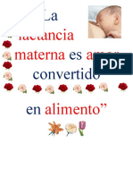 Afiche Lactancia Materna