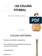 Aula 5 - Ossos Da Coluna Vertebral