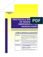 Protocolo%20Distirtal%20Inundaciones