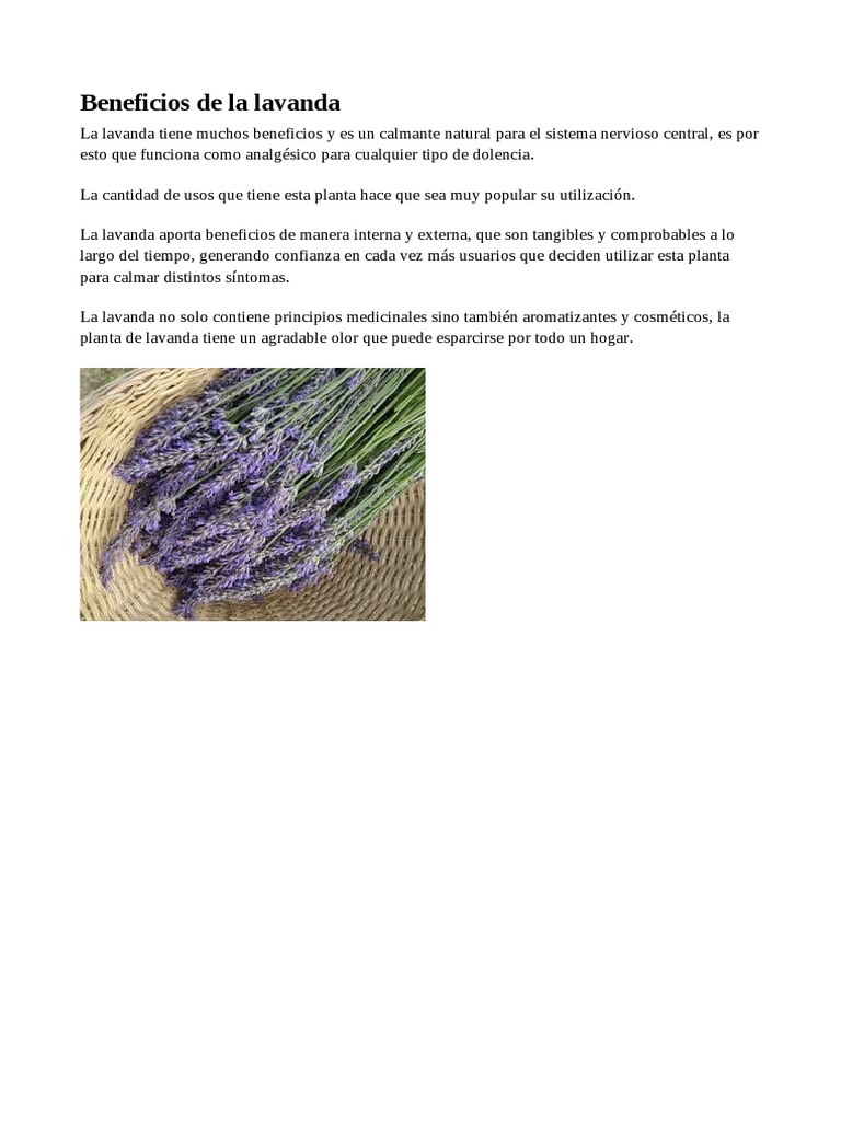 Beneficios De La Lavanda Pdf