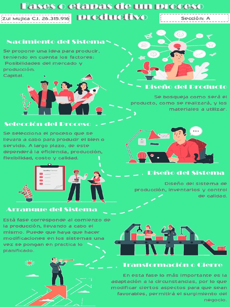 Calamo 2 Fases o Etapas de Un Proceso Productivo Infografa Zul Mujica | PDF