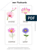 Flowers Flashcards