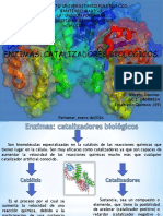 Enzimas: Catalizadores Biológicos