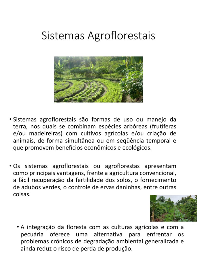 Vantagens dos Sistemas Agroflorestais | PDF