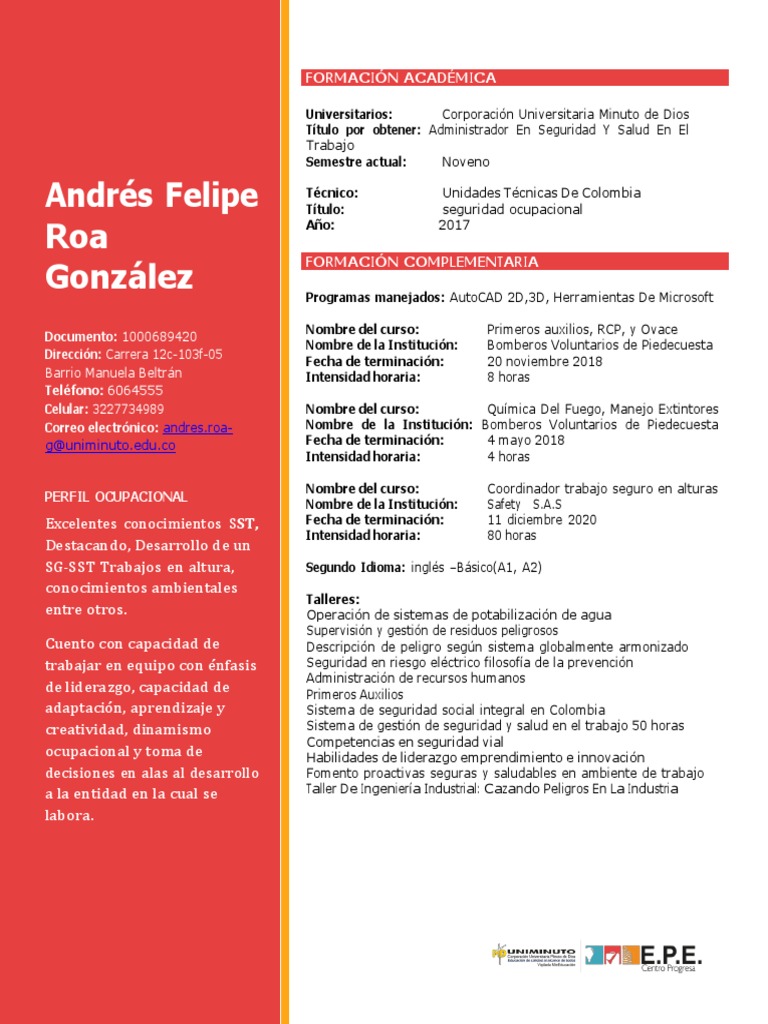 Perfil Profesional en Seguridad y Salud | PDF | Informática