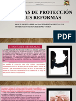 Tema 4 Medidas de Proteccion y Sus Reformas