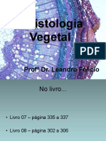 histologia-vegetal-725640