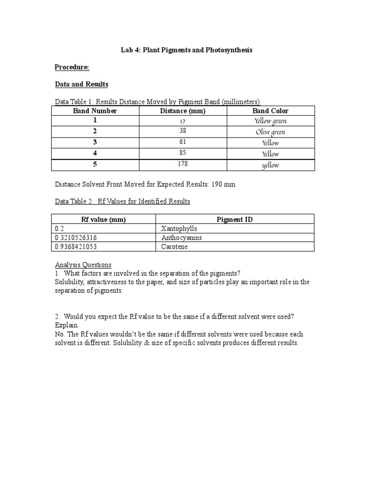 Grade 11 Chromatography Worksheet IB Bio PDF