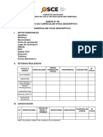 Anexo #06 - Modelo de Currículum Vitae Descriptivo