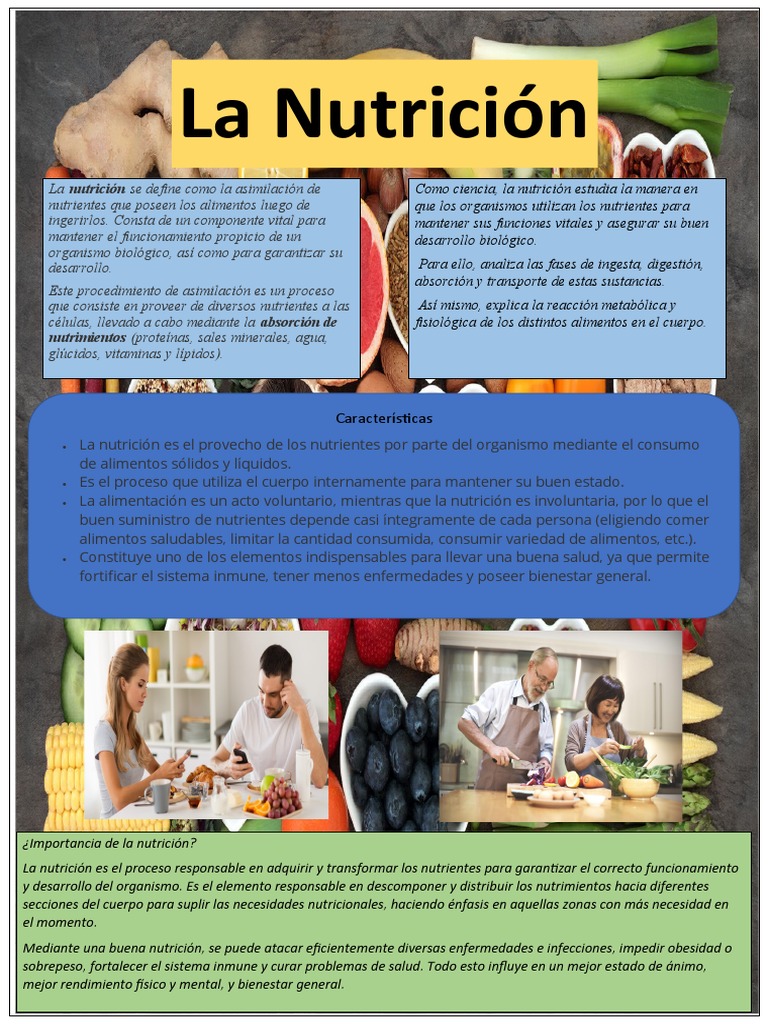 Infografia De La Nutricion Pdf