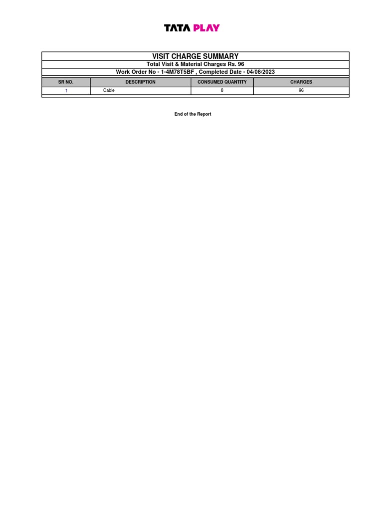 Visit Charge Summary Report | PDF | Technology & Engineering