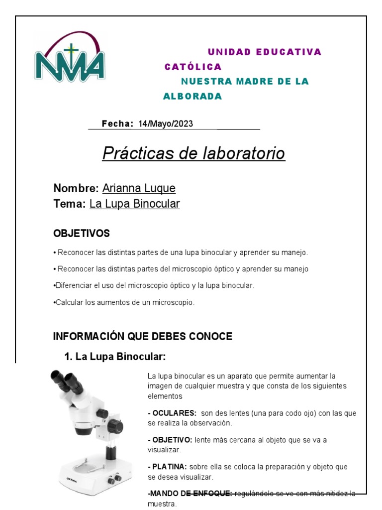 La Lupa Binocular Ari | PDF