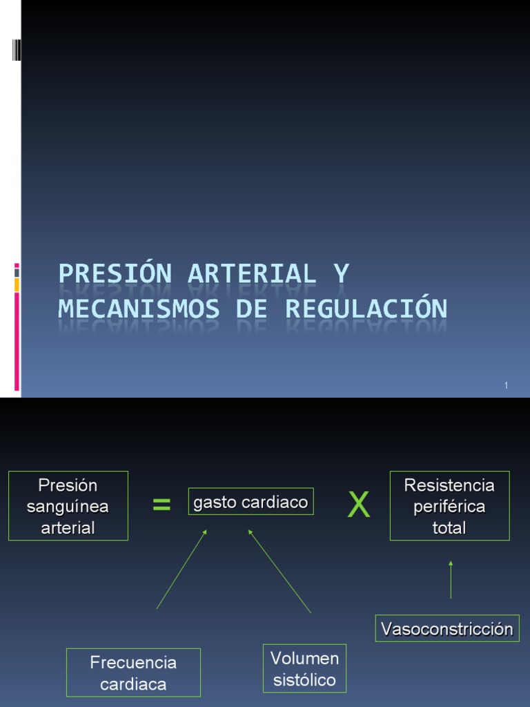 Presión Arterial y Mecanismos de Regulación | PDF