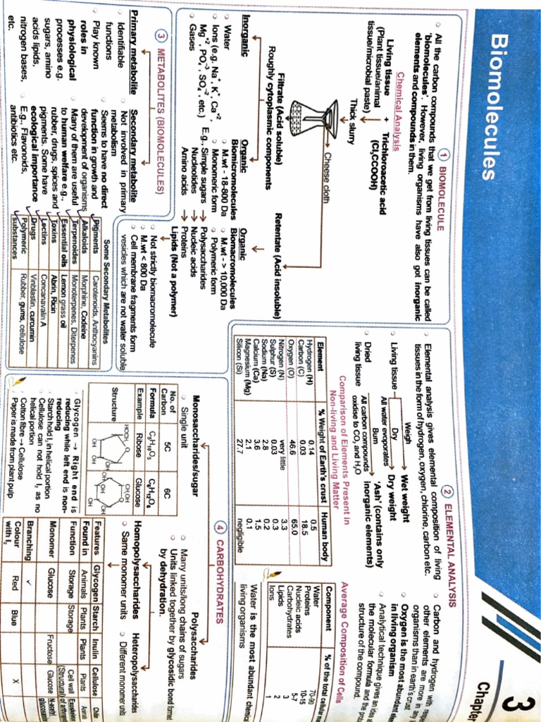 Biomolecules SHORT Notes by Om PDF Nucleotides Carbohydrates