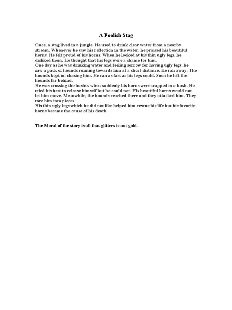 Quotes About Foolish Stag