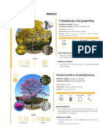 Arboles, Arbustos y Herbáceas para El Jardin