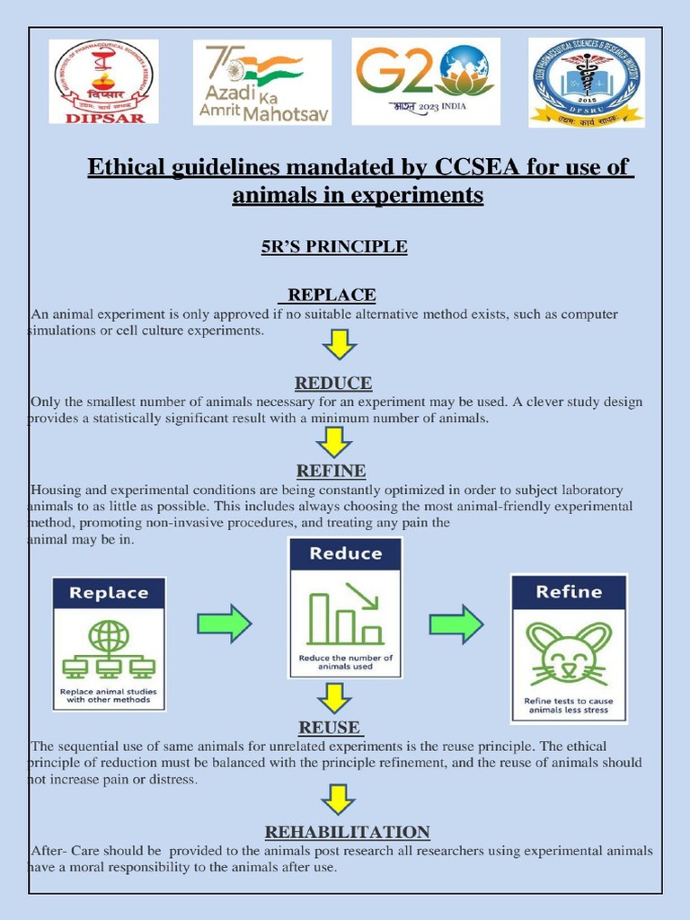 CCSEA | PDF