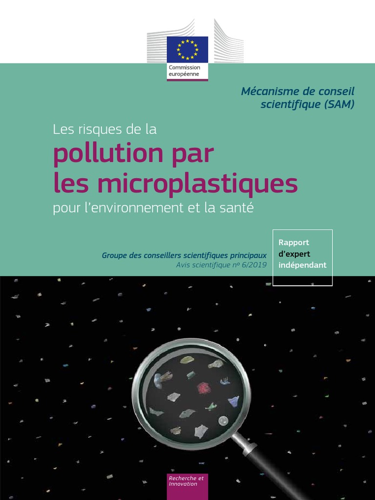 Les Risques de La Pollution Par Les microplastiques-KI0219256FRN | PDF