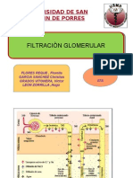 Filtraciòn Glomerular...