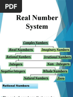 Real Number System