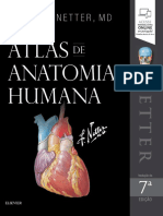 Resumo Netter Atlas de Anatomia Humana 7a Edicao Frank H Netter