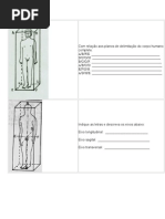 Atividade Planos e Eixos