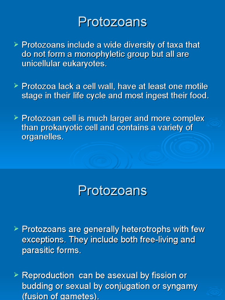 Cell (Biology) Biology Diagrams