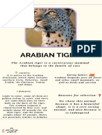 Arabian Tiger: The Arabian Tiger Is A Carnivorous Mammal That Belongs To The Family of Cats