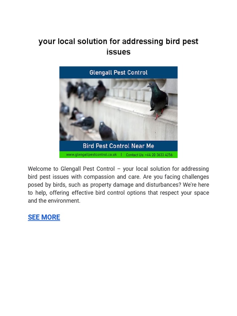 Your Local Solution For Addressing Bird Pest Issues | PDF