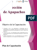 Coleccion de Apapachos